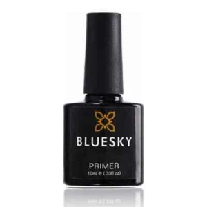 Bluesky Primer - Picture 1 of 8