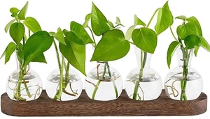 Desktop Propagation Stations Retro Terrarium with Wooden Stand,Glass Vase Plant - Picture 1 of 8