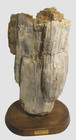 #4690# Sehr schweres "verkieseltes Holz" ( versteinertes Holz ) Miozän, 8,6 kg