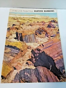 Vintage Geschichte des versteinerten Waldes Achat Regenbögen Arizona Park 1960er Buch - Bild 1 von 7