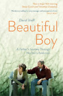 David Sheff Beautiful Boy (Taschenbuch)