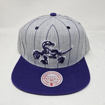 Mitchell & Ness NBA Toronto Raptors Hardwood Classics Grey Pin Pop Snapback - Image 1 of 3