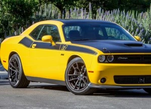 Side Stripe Fits: Dodge Challenger 2008-2021  T/A Style Decal hemi r/t srt 3M. - Picture 1 of 4