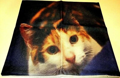 Square Cotton Canvas Brown & White Cat Pillow Cover 17" x 17" NEW (#82) - Image 1 of 4