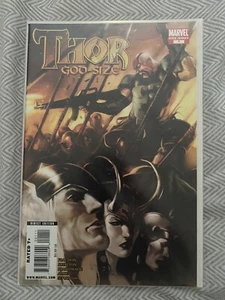 Thor Godsize . Oneshot 2009 Nm And Bagged ! - Picture 1 of 1