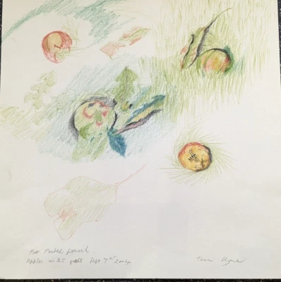 Original pastel drawing by Thora Clyne SSWA 1937 – 2020 still life apples 2004 - Image 1 of 4