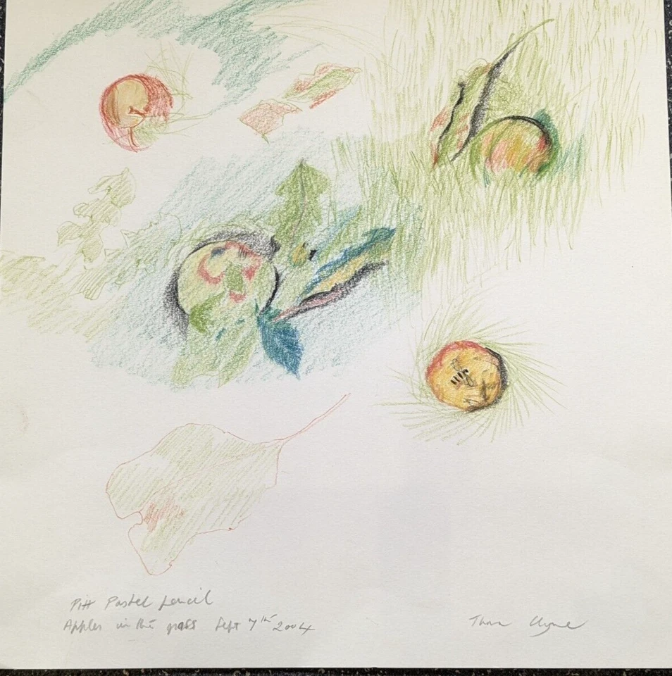 Dibujo original en pastel de Thora Clyne SSWA 1937 - 2020 bodegones manzanas 2004 Foto 1 de 4