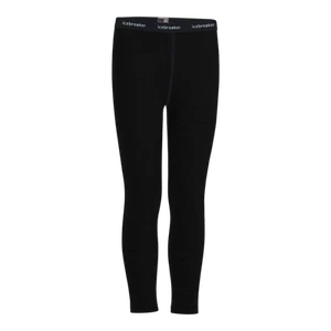 Icebreaker Merino Kid's 260 Tech Leggings - Picture 1 of 1