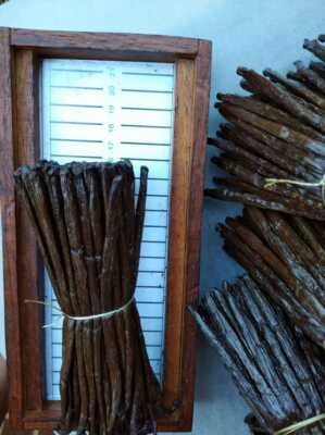 Vanilla Bean - Bourbon - de Madagascar - Image 1 of 2