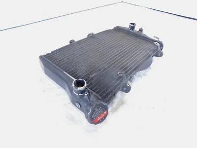 Radiador de refrigeración por agua motor Honda CBR1100XX 1999-2000 Blackbird CBR 1100 Foto 1 de 4