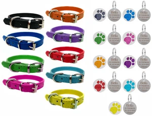 Vibrant Leather Dog Collar for Puppy, Dogs & Personalised Round Paw Glitter Tag - Picture 1 of 20