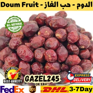 Doum Fruit - Palm Tree Dried 100% Natural Herb GAZEL245 الدوم - ثمرة حب الغاز - Picture 1 of 9
