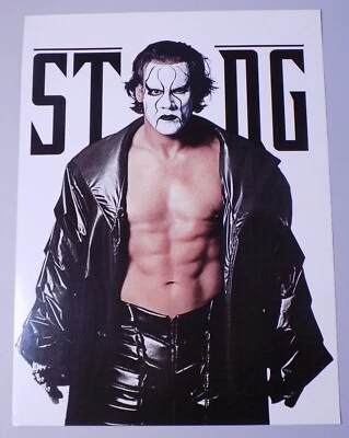 Póster 4 1 2001 WWF Wrestlemania 17 X-Seven 12x16 2 caras Sting The Rock Goldberg Foto 1 de 2