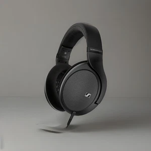 Auriculares para audiófilos Sennheiser HD550 espalda abierta/negro - Imagen 1 de 5