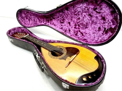 Suzuki Mandolin M-210 Brown Bowlback Entry Model violin JP - Image 1 of 4