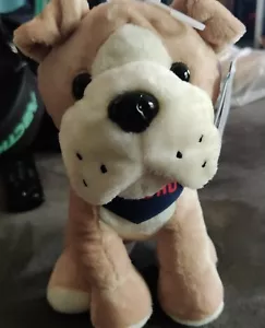 #1 Papa Hund Bär Taschentuch Vatertag Stofftier 6 Zoll - Bild 1 von 6