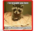 Funny Raccoon Garbage Lecture   Refrigerator / Tool Box Magnet  Gift Card Insert