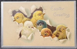 Postal de felicitación de Pascua ~ 5 pollitos bebés estallan fuera de fondo de papel ~ en relieve - Imagen 1 de 2