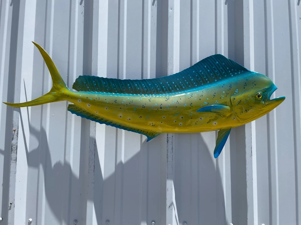 Réplica de peixe 42" Bull Dolphin Half Mount (Mahi/Dorado) - Produção rápida - Imagem 1 de 4