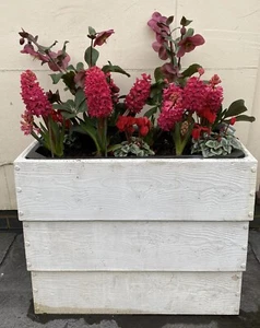 Stunning Raised Bed Planter Made from White  Concrete - Easy To Move Used - Picture 1 of 6