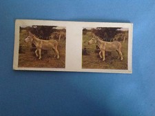 VINTAGE WEETABIX 3D VIEW CARD OUR PETS CARDS No 20 DONKEY