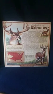 American Expedition Whitetail Deer 3D 14x14 Wildlife Tin Sign NICE - Picture 1 of 2