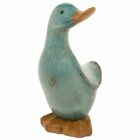 David's Aqua Duck Small