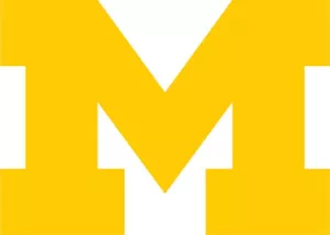 Pegatina/calcomanía de vinilo de la Universidad de Michigan - NCAA - fútbol americano universitario - Wolverines - Imagen 1 de 1
