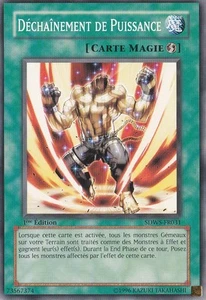 Déchainement de Puissance - SDWS-FR031 - Carte YU-GI-OH - Neuve - Française  - Picture 1 of 1
