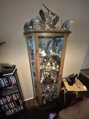 Armario de madera para curiosidades iluminado con puertas de vidrio Foto 1 de 4