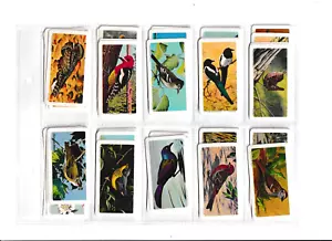 Full Set of 48 Brooke Bond Canadian/American Songbirds cards. - Picture 1 of 11