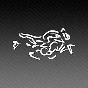MT-09 Kalligraphie Motorrad Aufkleber Sticker Vinyl Decal 15x8cm - Picture 1 of 3