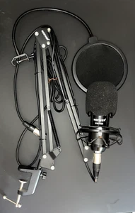 Kit microfono professionale NEEWER NW-800 - Foto 1 di 1