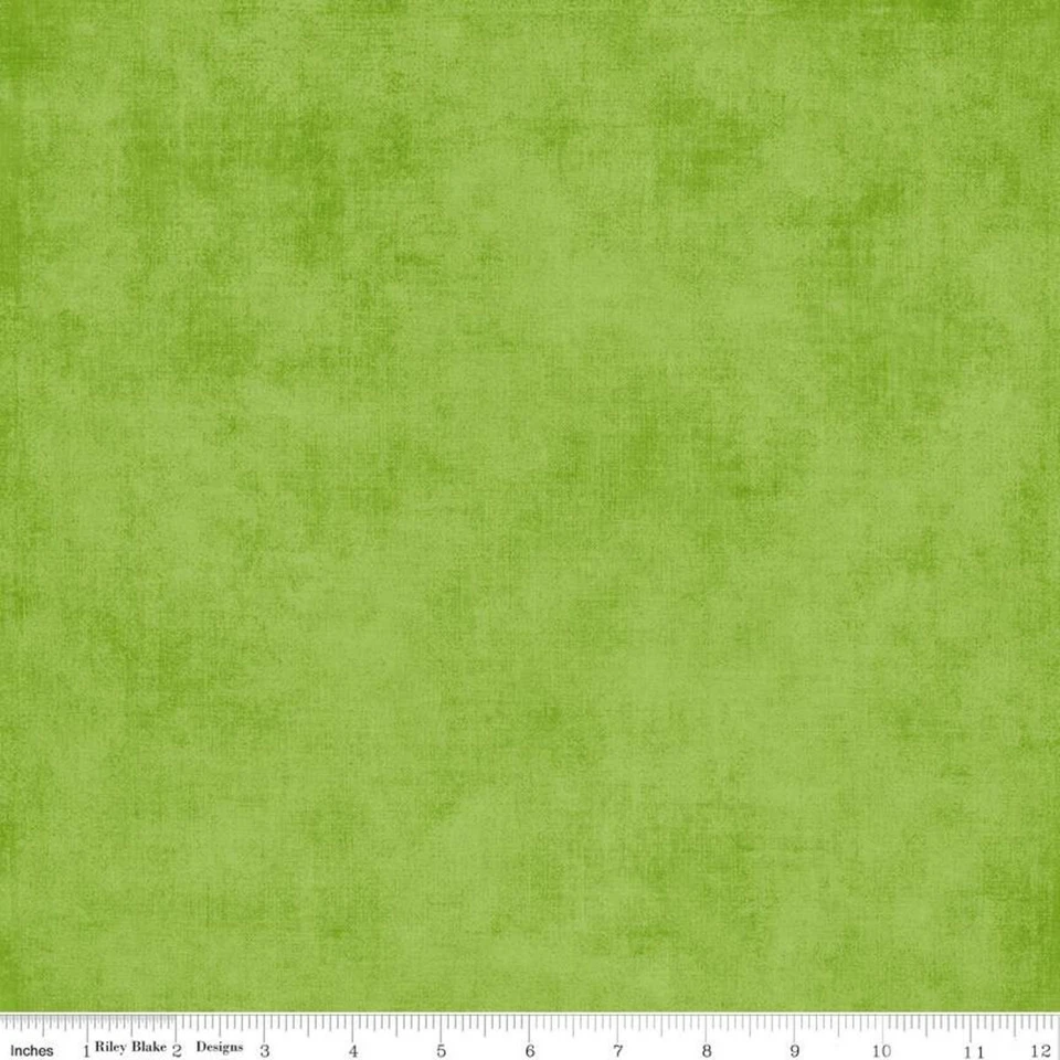 Basics Shade Turtle, RBD Designers for Riley Blake, 1/2 yard 100% Cotton Fabric - Image 1 of 1