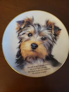 Danbury Mint CHERISHED YORKIE EYES OF LOVE Limited Edition Teller - Bild 1 von 3