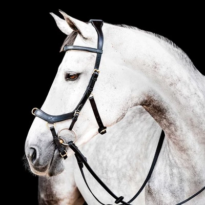 Brida múltiple Micklem 2.0, negra, completa Foto 1 de 4