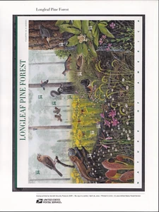 Scott #CP649 (3611) Longleaf Pine Forest Commemorative Panel Stamp Sheet - Picture 1 of 2