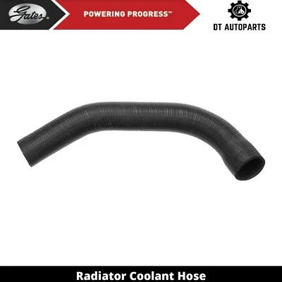 Manguera de refrigerante de radiador puertas inferiores 1977 1978 para Chevrolet Nova 1976-1979 Foto 1 de 4