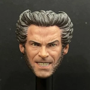 Hot Toys Mms187 X-men L'Ultimo Stand Testa di Wolverine Scultura Scala 1/6 Accessori - Foto 1 di 7