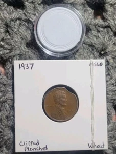 1937 Brown Wheat Mint Error Clipped Planchet@1 Clock With Plastic Airtight Rare - Picture 1 of 4