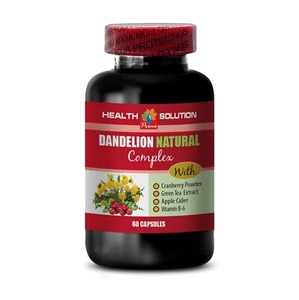 pastillas antiinflamatorias - RAÍZ DE DIENTE DE LEÓN 520MG - té de hierbas de diente de león 1B - Imagen 1 de 9