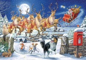 Puzzle Otter House che insegue Babbo Natale (1000 pezzi) - Foto 1 di 1