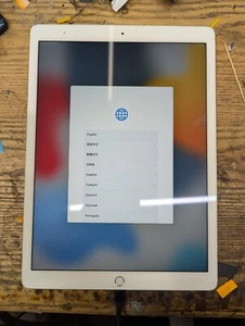 Apple iPad Pro 1ª Generación 2015 12.9" A1652 Plateado/Blanco Pantalla LCD Pantalla GRADO A - Imagen 1 de 3
