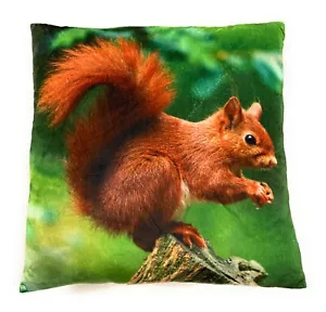 Ardilla ardilla árbol felpa sofá cama decoración o cojín de peluche 35x35 cm - Imagen 1 de 2