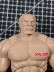 1:4 1:6 1:12 1:18 Invincible conquest Old men Head Sculpt For Male Figure Toys - Picture 1 of 8
