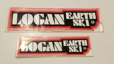 Calcomanía grande de esquí Logan Earth de los años 70 calcomanías de skate de colección Dogtown  Foto 1 de 4
