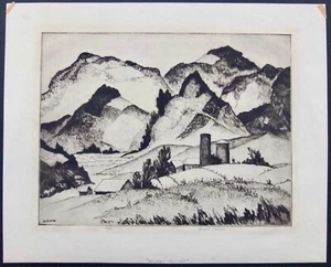Acquaforte Lowell Bobleter "Toppe della natura" firmata con titolo e numerazione 3/35 - Foto 1 di 8