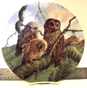 UNDER MOTHERS WING "WOODLAND WATCH; SPOTTED OWLS" by KNOWLES - Picture 1 of 2