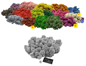 Muwse Islandmoos 50g Spur TT Kopf gereinigt Diorama Landschaft Moos Auswahl