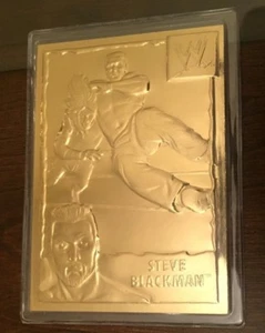 DANBURY MINT 22KT GOLD WWF STEVE BLACKMAN KARTE - Bild 1 von 2
